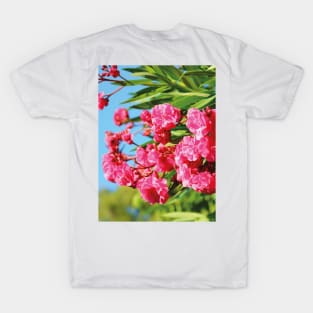 Palermo Santa Rosalia Rose T-Shirt